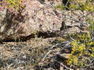 photo thumbnail #3