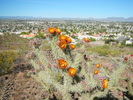 photo thumbnail #4