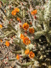 photo thumbnail #5