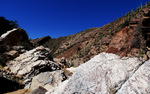 photo thumbnail #12