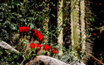 photo thumbnail #13