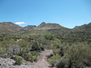 photo thumbnail #6