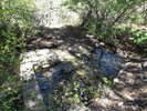 photo thumbnail #12