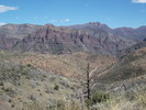 photo thumbnail #14