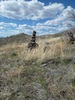 photo thumbnail #15