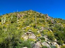 photo thumbnail #4