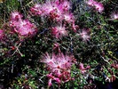 photo thumbnail #15