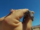 photo thumbnail #14