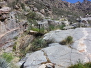 photo thumbnail #2