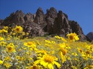 photo thumbnail #1