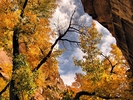 photo thumbnail #11
