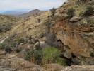 photo thumbnail #2