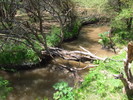 photo thumbnail #13