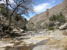 photo thumbnail #3