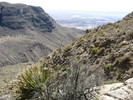 photo thumbnail #12