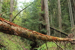 photo thumbnail #9