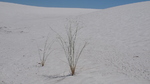 photo thumbnail #15