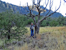 photo thumbnail #6