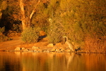 photo thumbnail #10