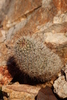 photo thumbnail #3