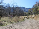 photo thumbnail #1