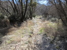 photo thumbnail #4