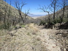 photo thumbnail #6
