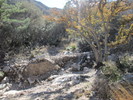 photo thumbnail #8