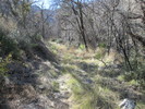 photo thumbnail #10