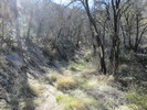 photo thumbnail #12