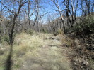 photo thumbnail #13