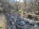 photo thumbnail #14