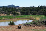 photo thumbnail #12