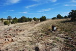 photo thumbnail #14