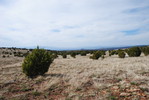 photo thumbnail #15