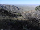 photo thumbnail #1