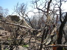 photo thumbnail #15