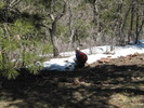 photo thumbnail #8