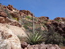photo thumbnail #11