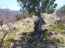 photo thumbnail #5