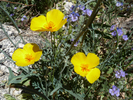 photo thumbnail #7