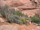 photo thumbnail #6