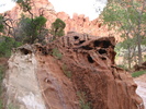 photo thumbnail #10