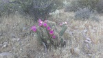 photo thumbnail #1