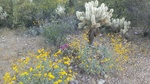 photo thumbnail #2