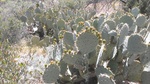 photo thumbnail #15