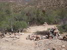 photo thumbnail #7