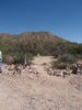 photo thumbnail #8
