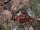 photo thumbnail #8