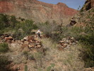 photo thumbnail #10